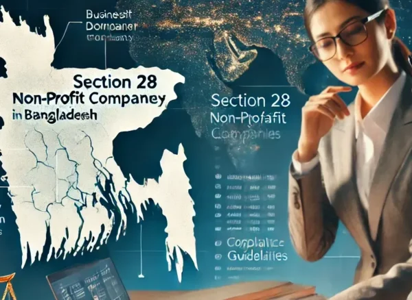 Non-Profit Companies in Bangladesh A Comprehensive Guide