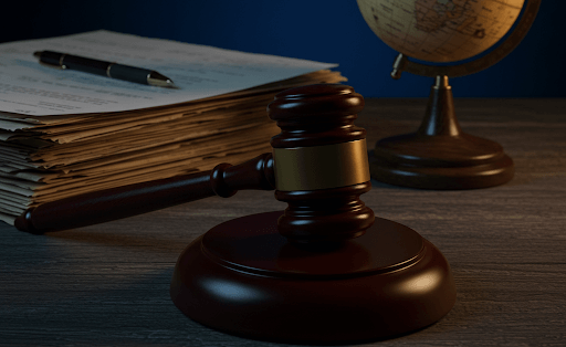 litigation support services